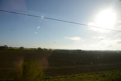 DSC_7182 (Large).JPG